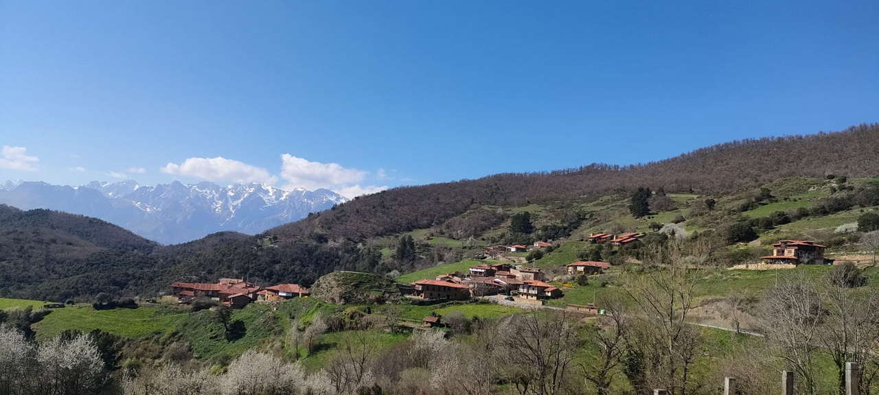 WhatsApp Image 2026-03-23 at 08.14.06 (3)